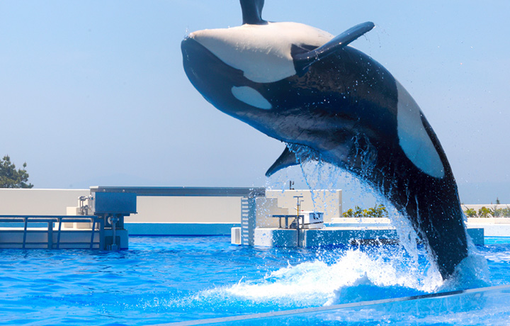 神戸須磨シーワールド